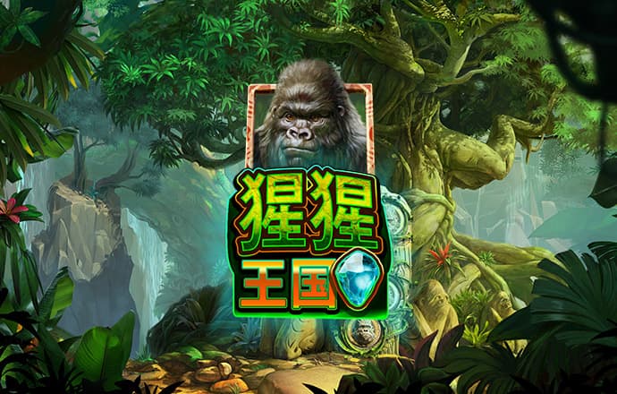 K体育全站app网页版